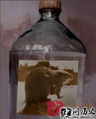 Ŵз󼯺ϣѻƬˮԷ