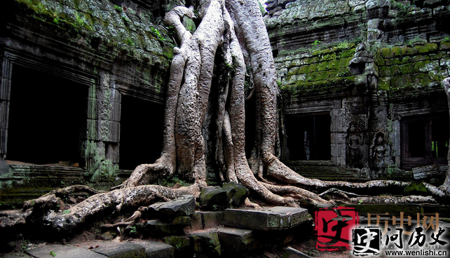 中国古代神话传说:千古缠绵夜交藤