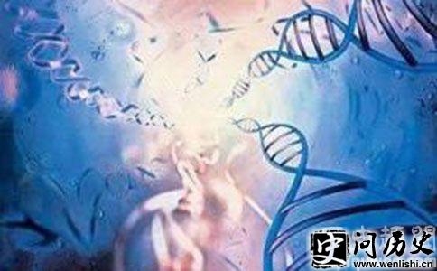 DNA