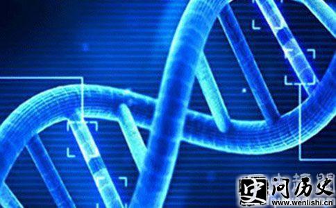 DNA