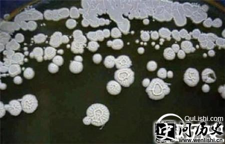 350ǰϸ