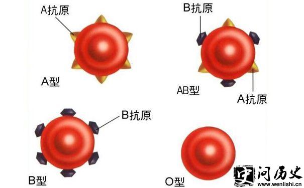 Ѫ