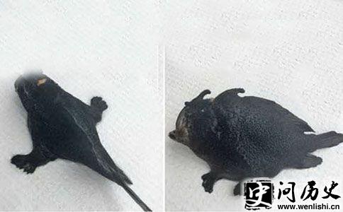 ȵ