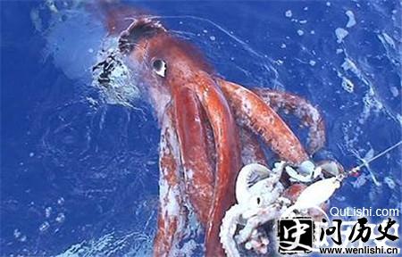 20150209151322_3WAuB.thumb.700_0.jpg