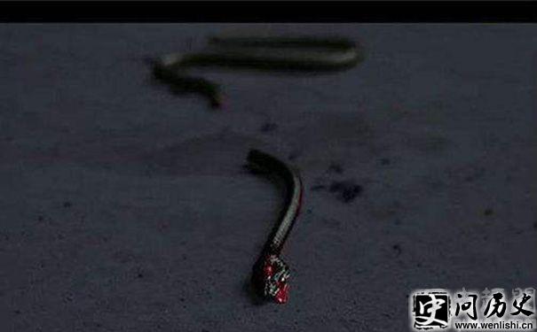 ֮ųǺ۹