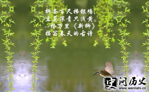 仭ͼ