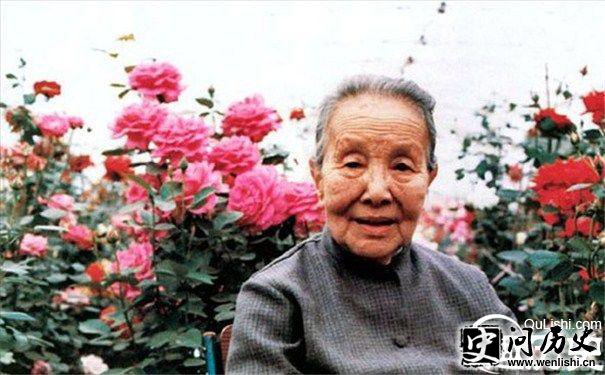 冰心图片