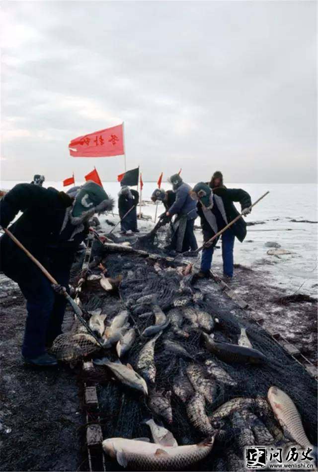 ձ80й
