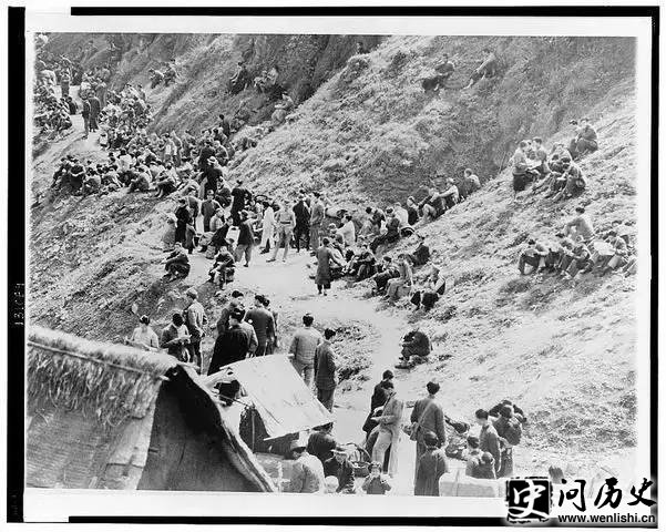 194346գ콼⣬վϮ