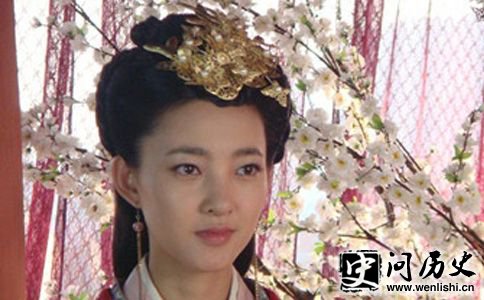 汉武帝的母亲王姪