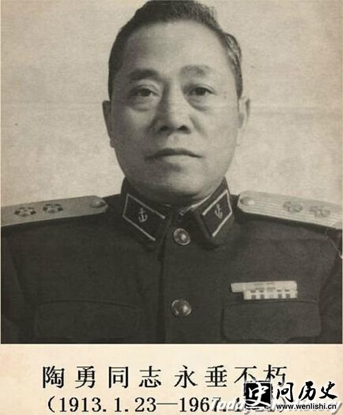 陶勇