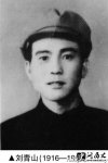 ййԱɽƼ ɽưӰ