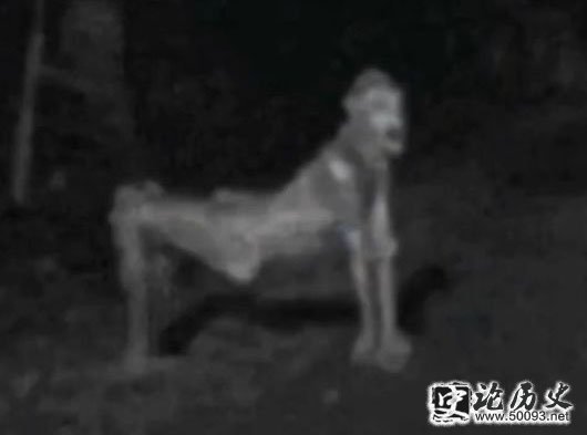 Ƥ ﱻ