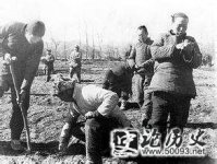 193361 (³) йԽũ