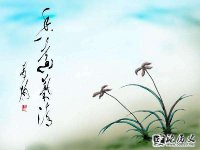 Ӱʫʮ壩עͣ