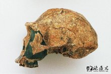 1929122 (궬³) ƽܿڵ귢йԳͷǹ