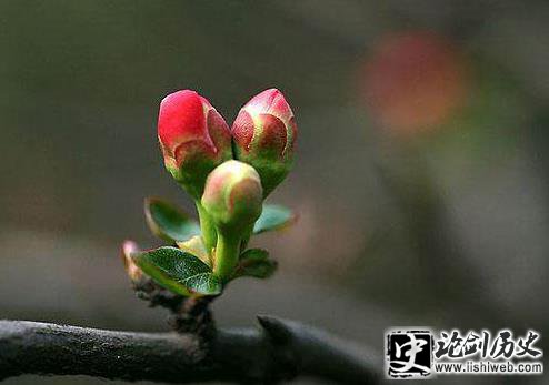 Ǵĸʼģֵķʲô˼