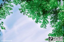 ƾƶȷļȼ Ŵƾƶȵ