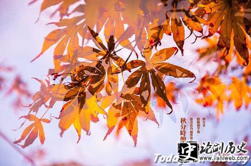 秋分