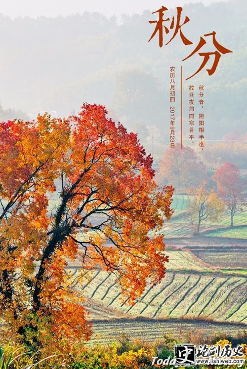秋分