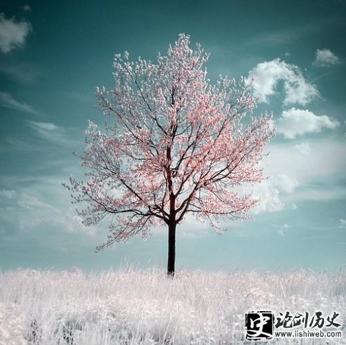 与读书有益相关的名人名言名句大全