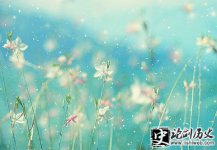Ծ