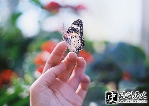 关于人人平等自由的名人名言警句
