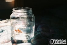 ˸˵˵ ΪԼжƯɺΪ