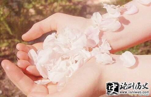 唯美文艺森系句子