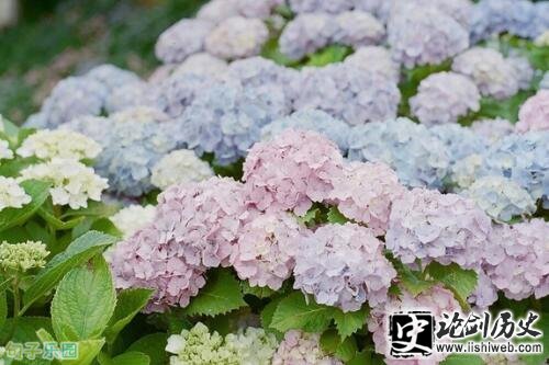 对爱人不离不弃的话