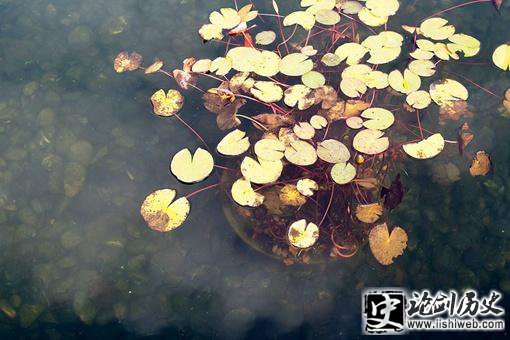 上善若水是什么意思 上善若水是什么意思
