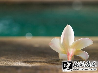 淡淡忧伤的句子 淡淡忧伤的句子