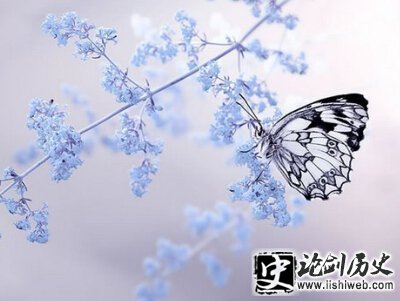 唯美悲伤的句子 唯美悲伤的句子