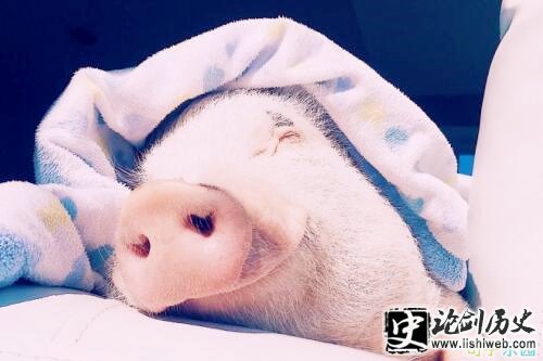 发个比较搞笑的朋友圈