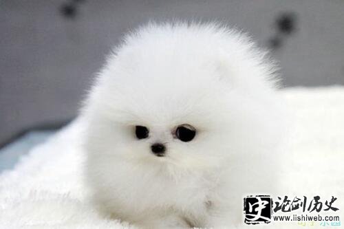可爱的句子说说心情