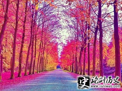 唯美语录精选 唯美语录精选