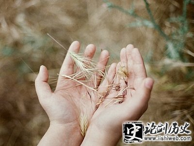 最伤感的一段话 最伤感的一段话