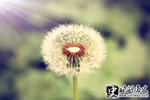 人生哲理句子精辟