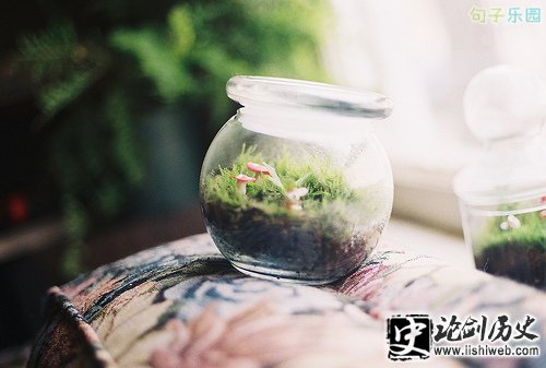 经典成熟的说说
