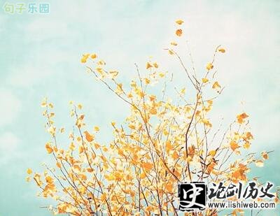 说出来的苦是软弱,埋藏在心里的苦叫坚强