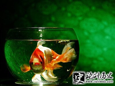 经典哲理语录 经典哲理语录