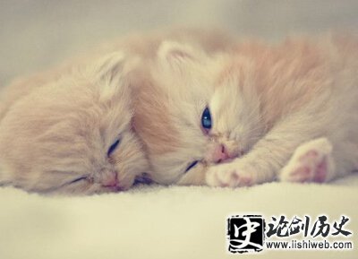 非常经典的语录 非常经典的语录
