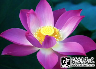 经典文字短句 经典文字短句