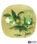 Ӻʫ·硷עͣ