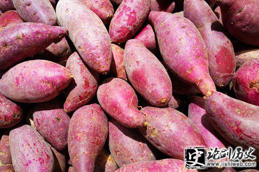 红薯来自哪里?为何说他是中国人口增长的根本原因? 红薯来自哪里?为何说他是中国人口增长的根本原因?