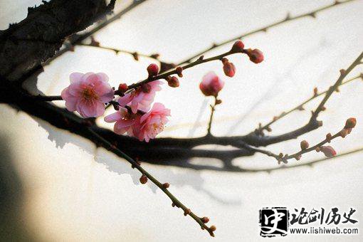 傲骨什么意思?什么样的人能被称为有傲骨? 傲骨什么意思?什么样的人能被称为有傲骨?