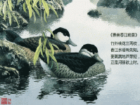 ʫݳ紺һעͣ