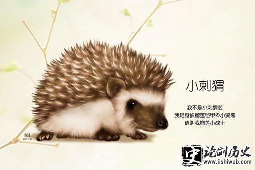 捡到刺猬有什么寓意?家里有刺猬说明什么? 捡到刺猬有什么寓意?家里有刺猬说明什么?