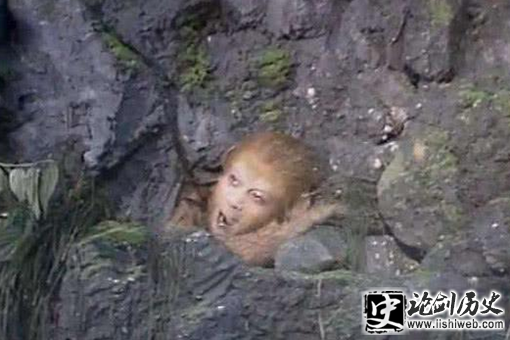 在《西游记》中孙悟空打死打那只狐狸有着什么来历? 在《西游记》中孙悟空打死打那只狐狸有着什么来历?