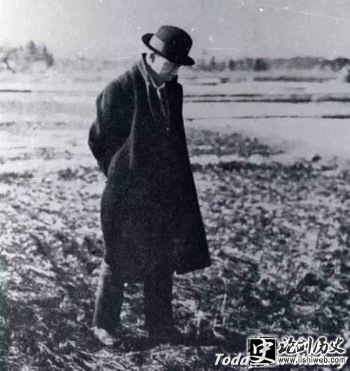 宫泽贤治